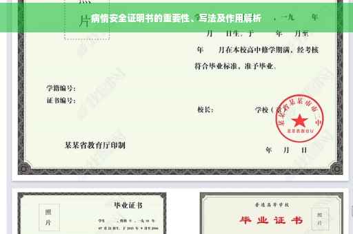 病情安全证明书的重要性、写法及作用解析