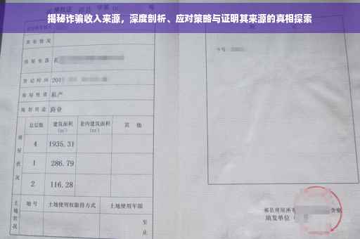 揭秘诈骗收入来源，深度剖析、应对策略与证明其来源的真相探索
