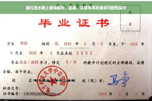 银行流水网上查询解析，流程、注意事项及查询可能性探讨