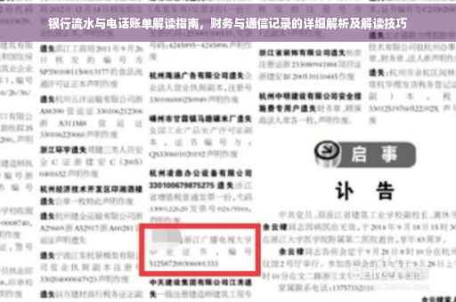 银行流水与电话账单解读指南，财务与通信记录的详细解析及解读技巧