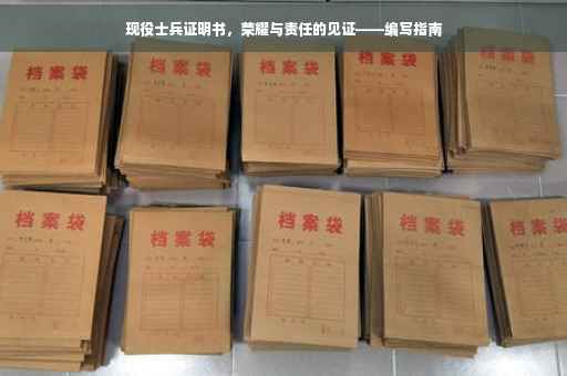 现役士兵证明书，荣耀与责任的见证——编写指南