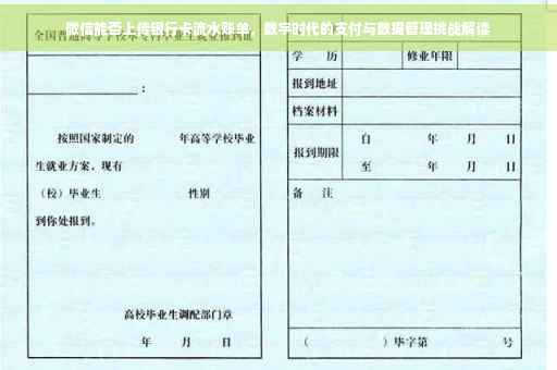 微信能否上传银行卡流水账单，数字时代的支付与数据管理挑战解读