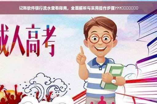 记账软件银行流水查看指南，全面解析与实用操作步骤???​​​​​​​