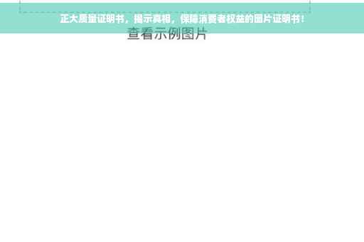 正大质量证明书，揭示真相，保障消费者权益的图片证明书！