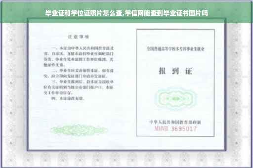 毕业证和学位证照片怎么查,学信网能查到毕业证书图片吗