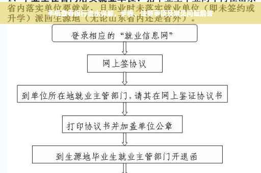 手机查看银行流水详解，步骤、注意事项及常见问题解答