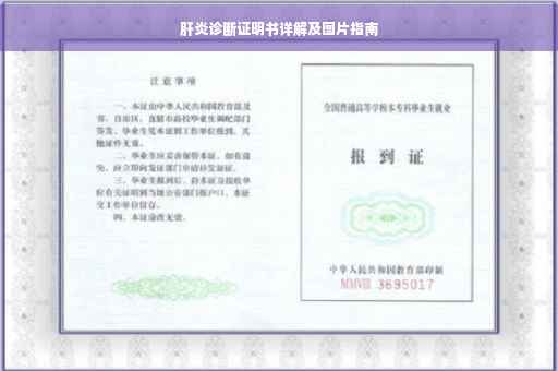 肝炎诊断证明书详解及图片指南