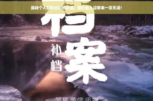 揭秘个人财务状况的关键，银行收入证明表一览无遗！