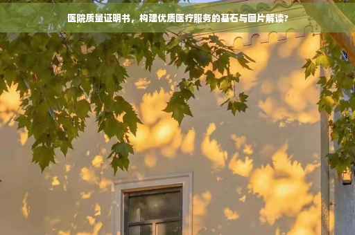 医院质量证明书，构建优质医疗服务的基石与图片解读?