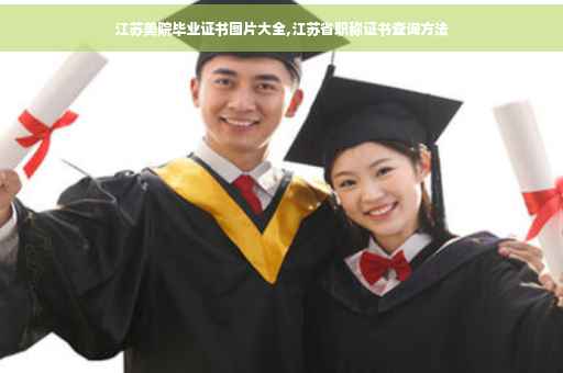 江苏美院毕业证书图片大全,江苏省职称证书查询方法