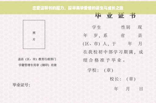 恋爱证明书的魔力，探寻真挚爱情的诞生与成长之旅
