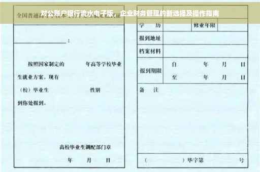 对公账户银行流水电子版，企业财务管理的新选择及操作指南