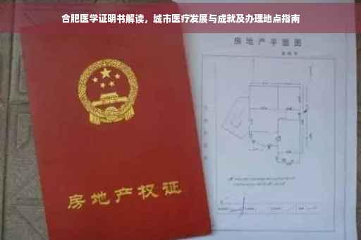 合肥医学证明书解读，城市医疗发展与成就及办理地点指南