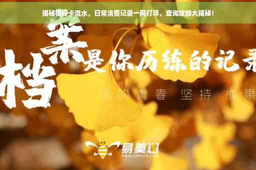 揭秘银行卡流水，日常消费记录一网打尽，查询攻略大揭秘！