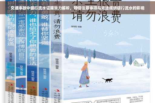 交通事故中银行流水证据效力解析，赔偿注意事项与无法提供银行流水的影响