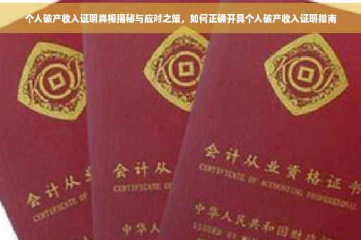 个人破产收入证明真相揭秘与应对之策，如何正确开具个人破产收入证明指南