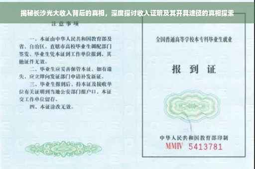 揭秘长沙光大收入背后的真相，深度探讨收入证明及其开具途径的真相探索
