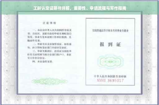 工龄认定证明书详解，重要性、申请流程与写作指南