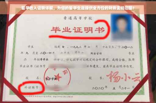 留学收入证明详解，为你的留学生涯提供全方位的财务支持范围?