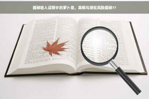 揭秘收入证明中的萝卜章，真相与潜在风险揭秘??