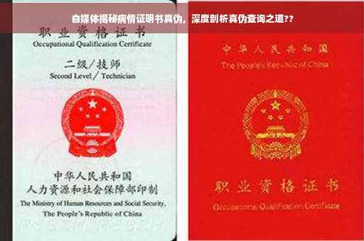 自媒体揭秘病情证明书真伪，深度剖析真伪查询之道??