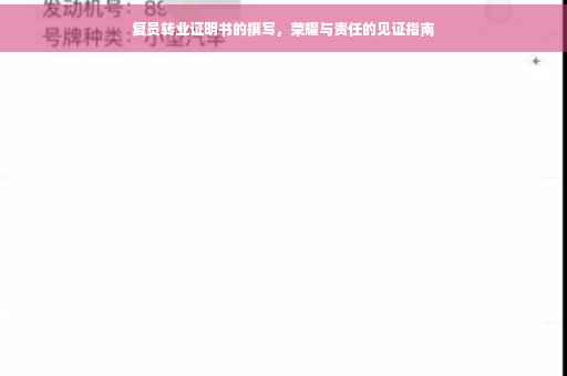 复员转业证明书的撰写，荣耀与责任的见证指南