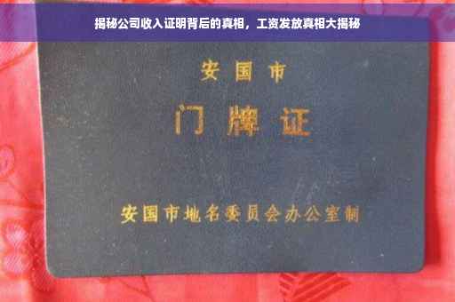 揭秘公司收入证明背后的真相，工资发放真相大揭秘