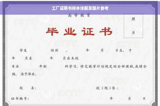 工厂证明书样本详解及图片参考