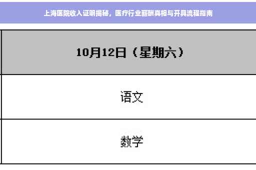 上海医院收入证明揭秘，医疗行业薪酬真相与开具流程指南