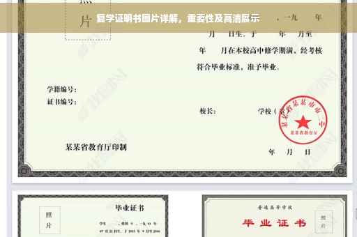 复学证明书图片详解，重要性及高清展示