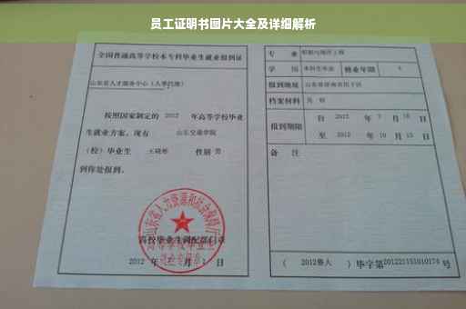 员工证明书图片大全及详细解析