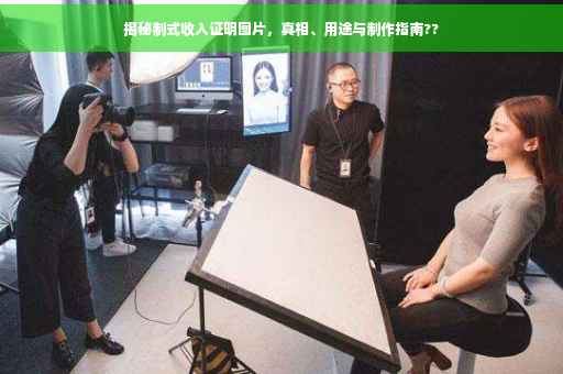 揭秘制式收入证明图片，真相、用途与制作指南??