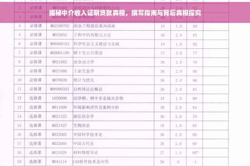 揭秘中介收入证明贷款真相，撰写指南与背后真相探究