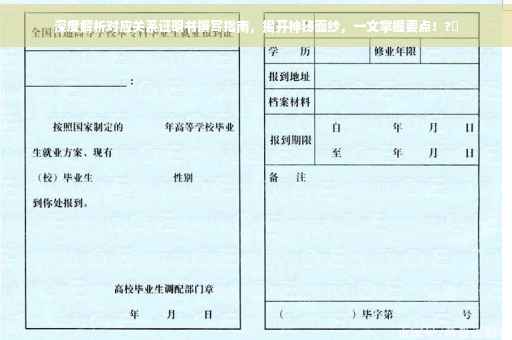 深度解析对应关系证明书撰写指南，揭开神秘面纱，一文掌握要点！?✨