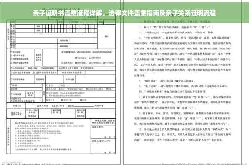 亲子证明书盖章流程详解，法律文件盖章指南及亲子关系证明流程