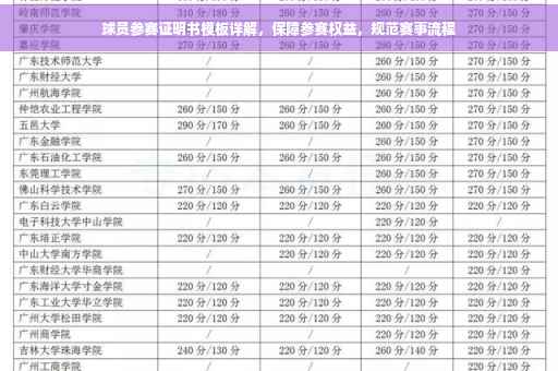 球员参赛证明书模板详解，保障参赛权益，规范赛事流程
