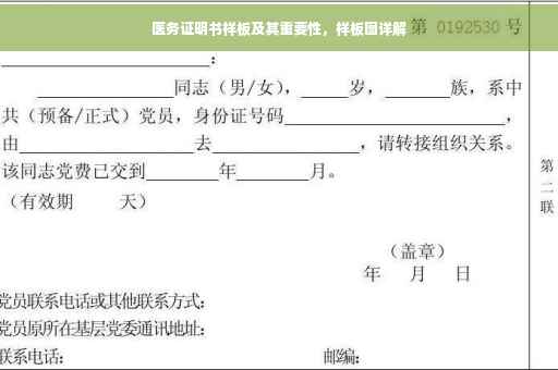 医务证明书样板及其重要性，样板图详解
