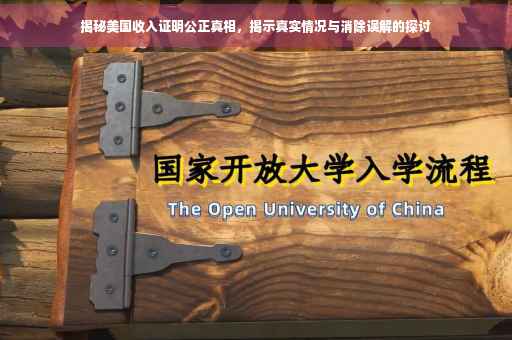 揭秘美国收入证明公正真相，揭示真实情况与消除误解的探讨