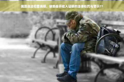 揭露违法犯罪真相，销售虚开收入证明的法律处罚与警示??