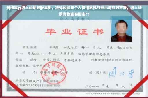 揭秘建行收入证明造假真相，法律风险与个人信用危机的警示与应对方法，收入证明真伪查询指南??