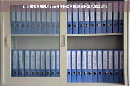 山东春考网络技术300分报什么学校,潍坊计算机等级证书