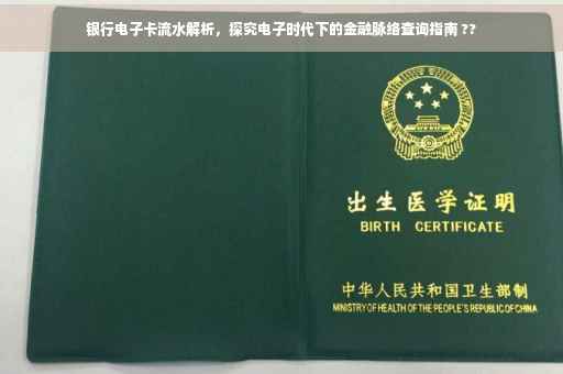 银行电子卡流水解析，探究电子时代下的金融脉络查询指南 ??