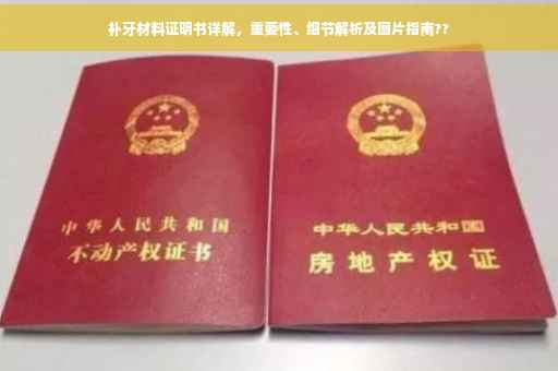 补牙材料证明书详解，重要性、细节解析及图片指南??