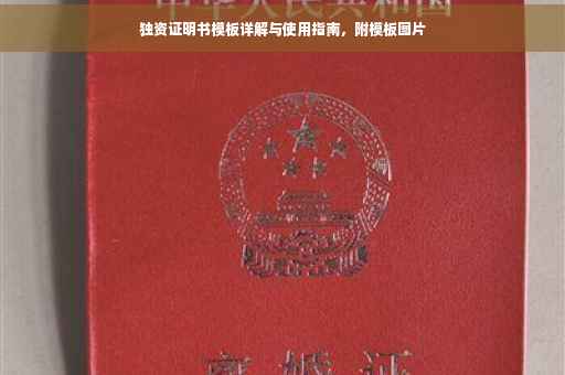 独资证明书模板详解与使用指南，附模板图片
