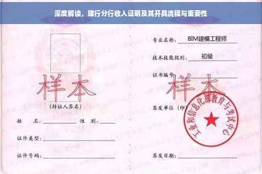 深度解读，建行分行收入证明及其开具流程与重要性