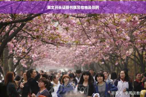 英文开头证明书撰写指南及范例