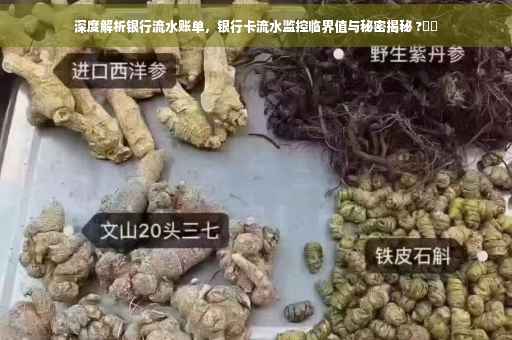 深度解析银行流水账单，银行卡流水监控临界值与秘密揭秘 ?⚡️