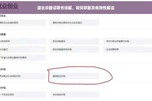 湖北诊断证明书详解，如何获取及有效性解读
