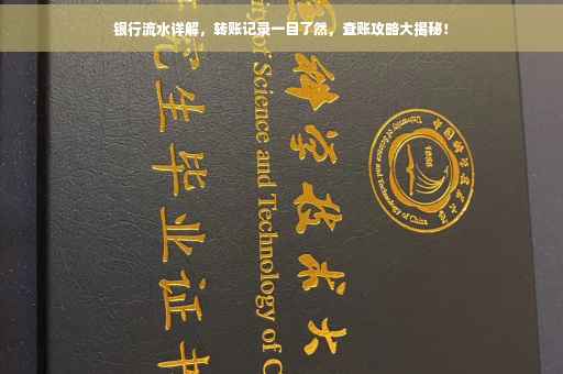 银行流水详解，转账记录一目了然，查账攻略大揭秘！
