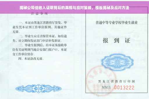 揭秘公司低收入证明背后的真相与应对策略，模板揭秘及应对方法